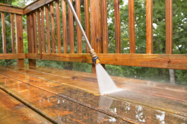 Animal Enclosure Cleaning in Vista Santa Rosa, CA