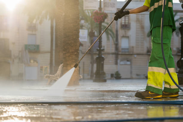 Best Roof Washing  in Vista Santa Rosa, CA
